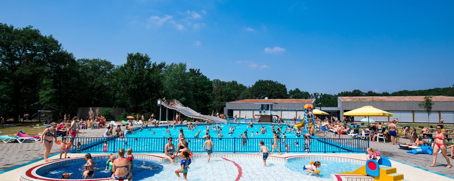 zomerrooster