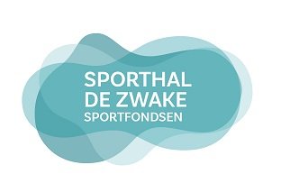 Borsele De Zwake - Logo.jpg