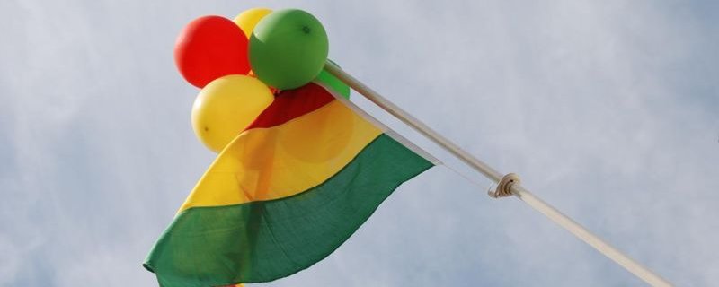 Carnavalsvlag Limburg