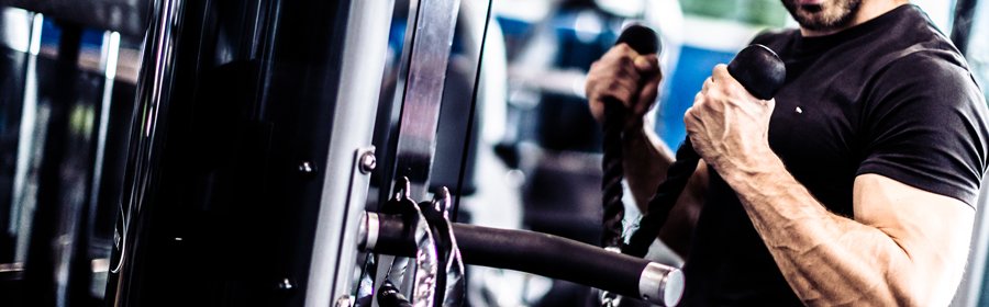 Fitness man krachttraining 280x900 pix.jpg