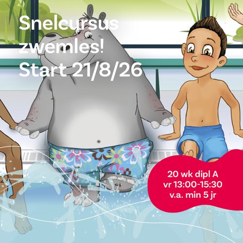 Snelcursus-Copy