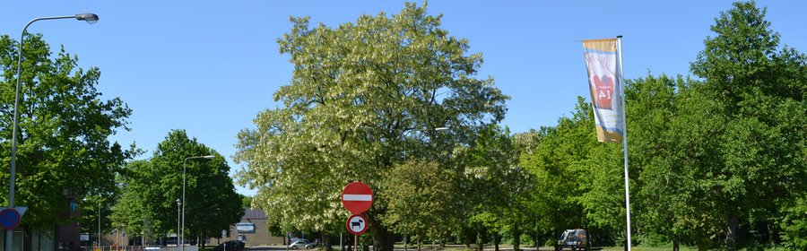 WB Anker Parkeerplaats.jpg