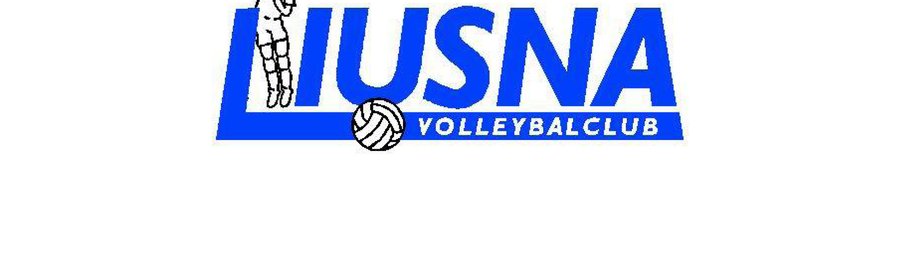 Logo Liusna.jpg