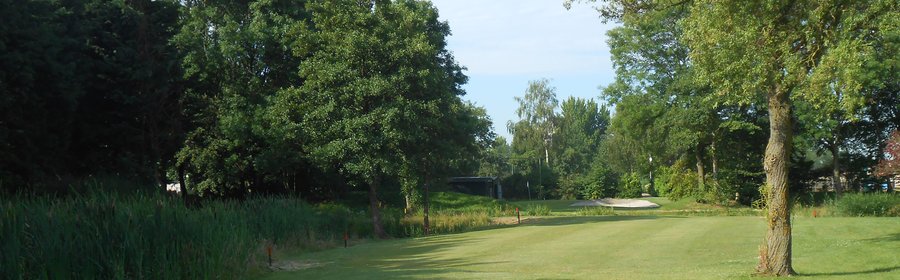 Golfbaan Het Wedde - hole 7