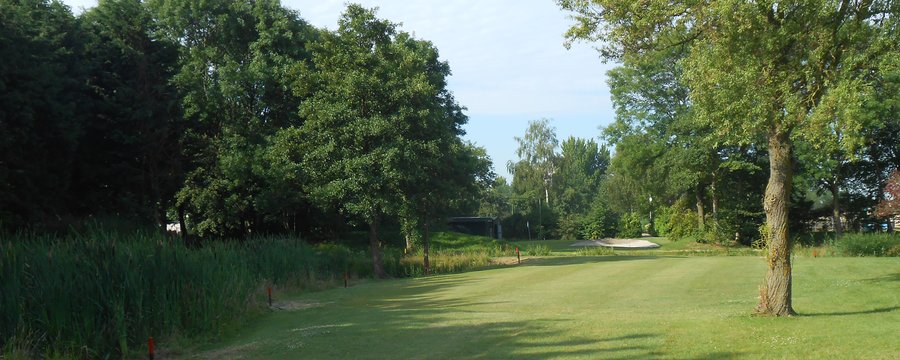 Golfbaan Het Wedde - hole 7