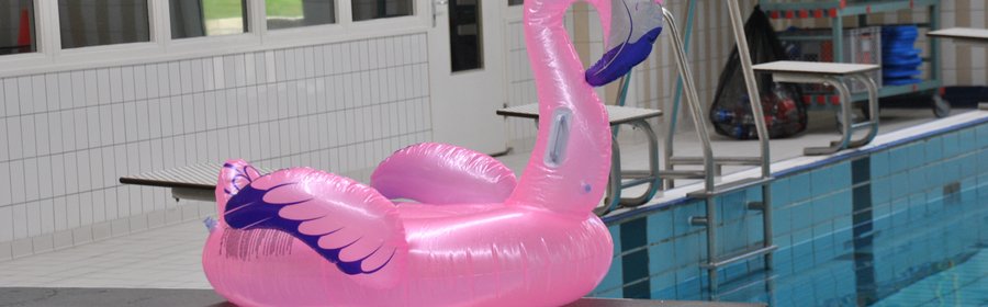 Website banner 1920 x 1080 9049.jpg