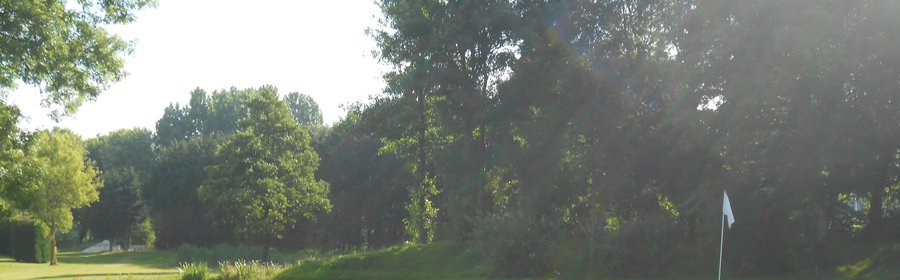 Golfbaan Het Wedde - hole 8 - websitebanner