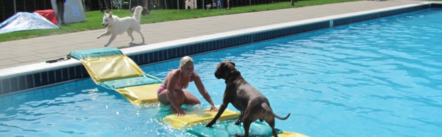 dogs plons 2015 005.jpg