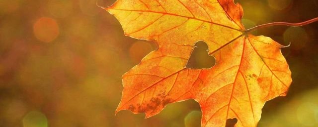 herfst-plantseizoen
