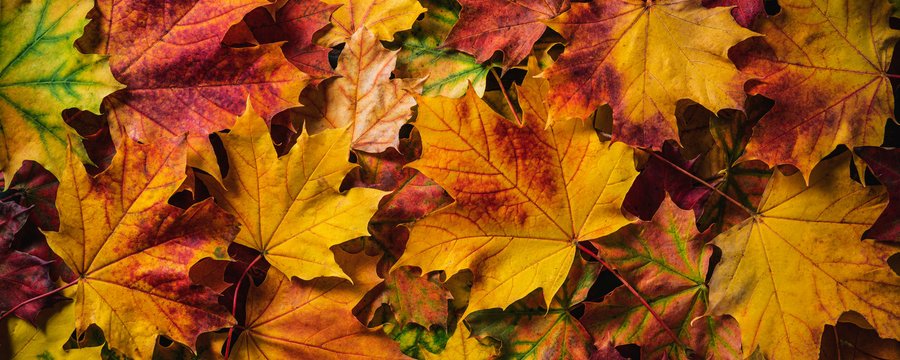 herfst