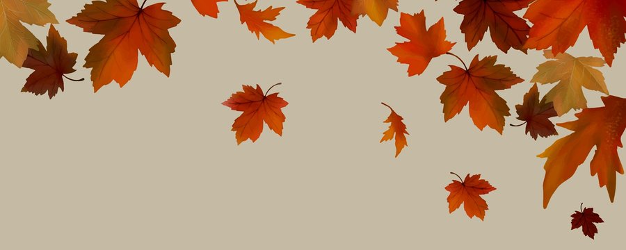 herfstvakantie 2026 banner