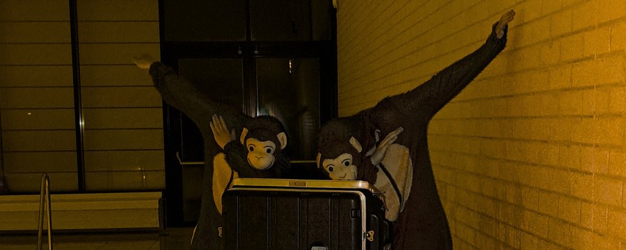 swingaapjes website